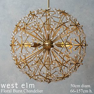 West elm Floral Burst Chandelier