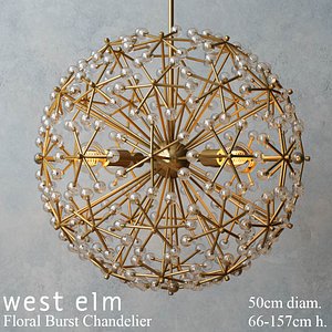 West elm Floral Burst Chandelier