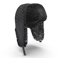 trapper hat