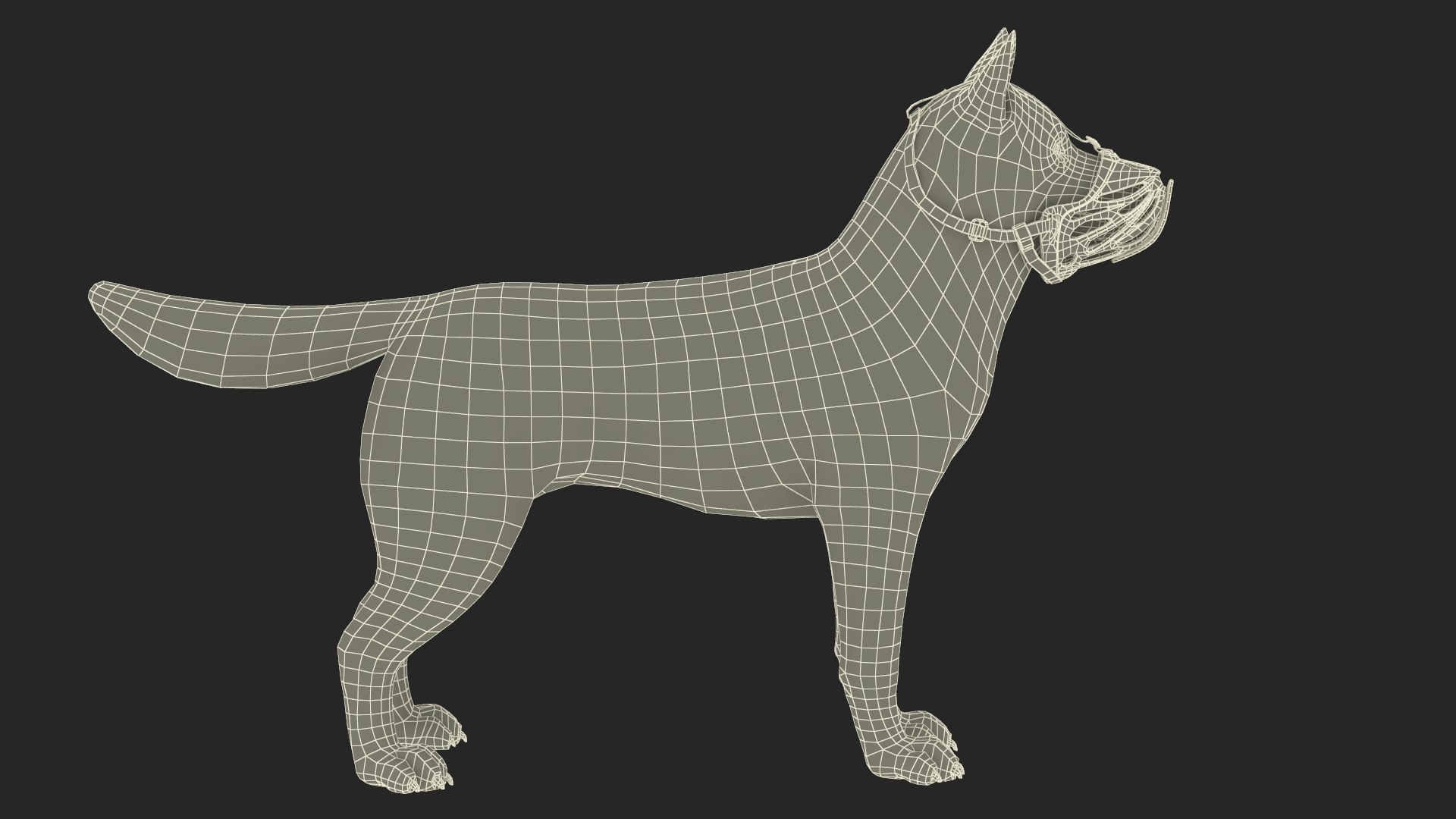 3D Siberian Husky With Muzzle Model - TurboSquid 2264873
