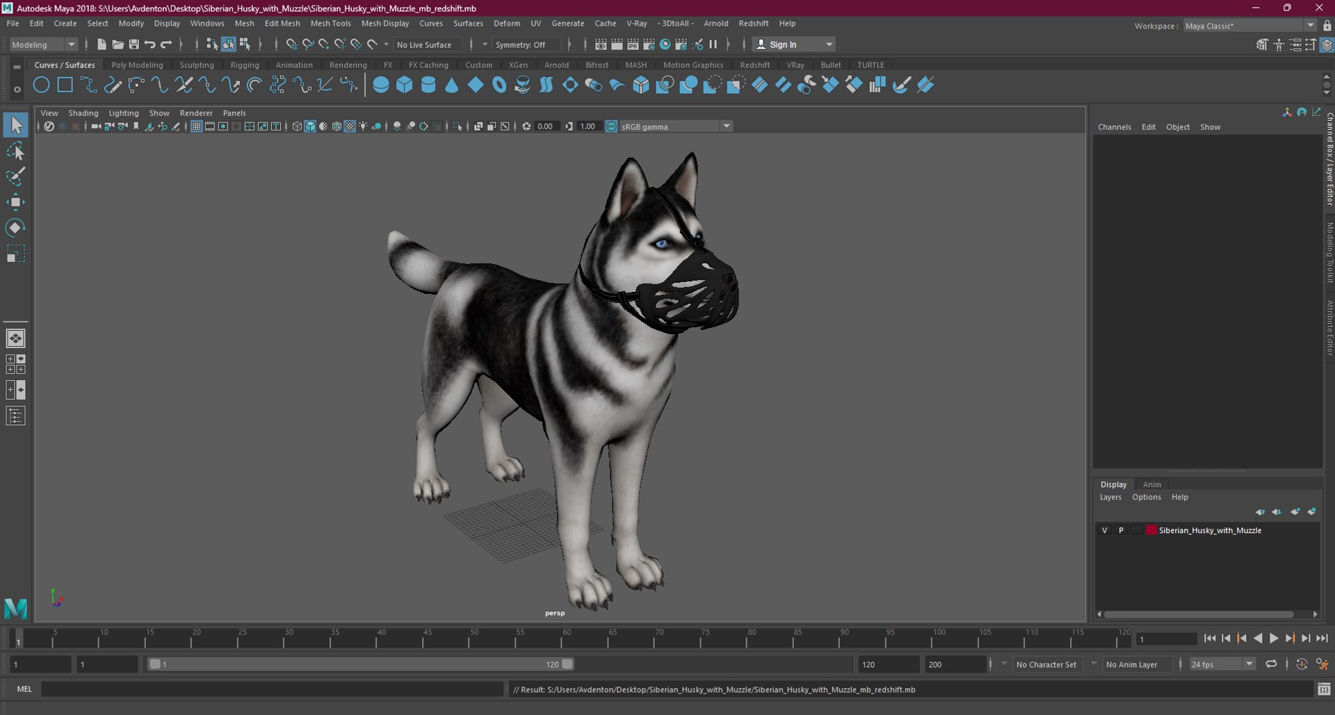 3D Siberian Husky With Muzzle Model - TurboSquid 2264873