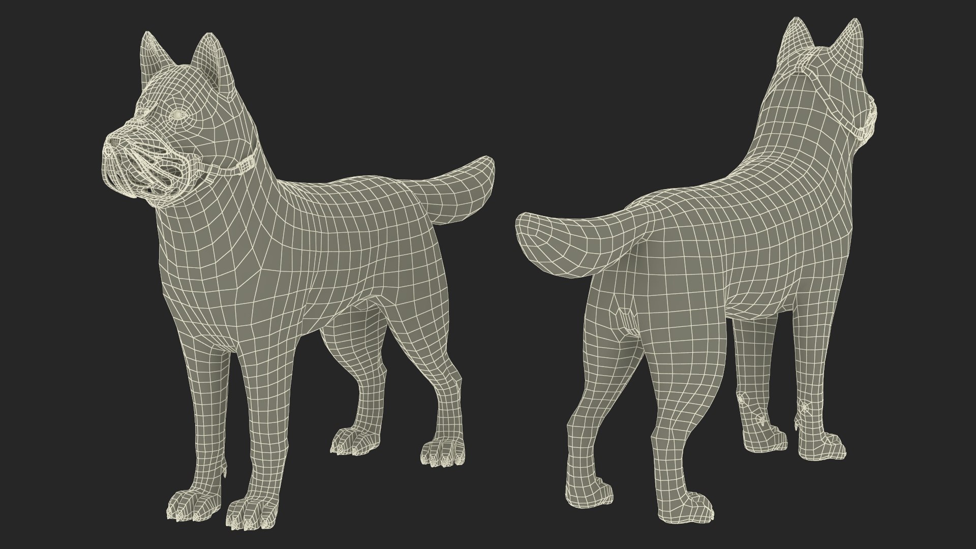 3D Siberian Husky With Muzzle Model - TurboSquid 2264873