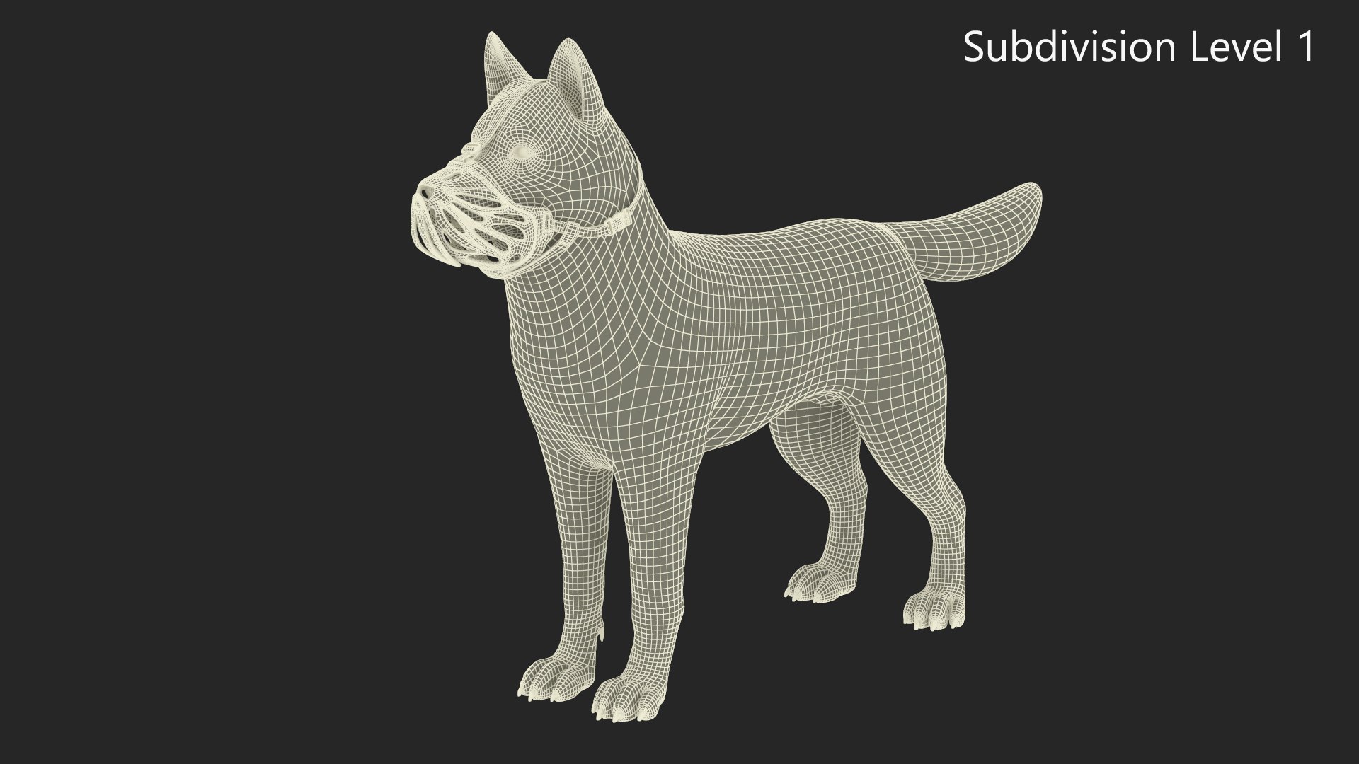 3D Siberian Husky With Muzzle Model - TurboSquid 2264873