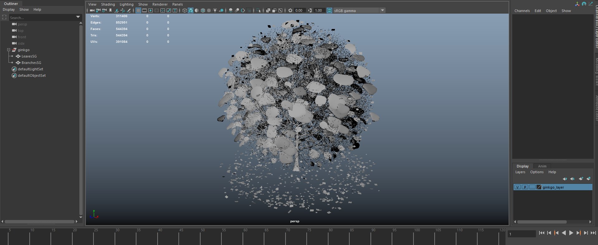 ginkgo winter hight 3D model https://p.turbosquid.com/ts-thumb/jQ/AX7cuX/MeJlcHop/ekranalnts/png/1599828193/1920x1080/fit_q87/d1632254cc433ca436b529373434619349673fd4/ekranalnts.jpg