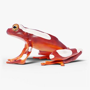 3D Clown Tree Frog - Rigged