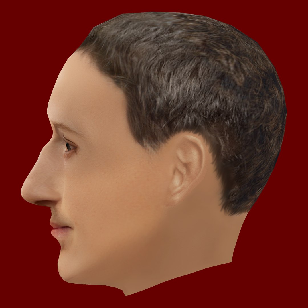 3D Mark Zuckerberg Low Poly Head https://p.turbosquid.com/ts-thumb/jQ/WgUiVC/gX/z03/png/1710410758/1920x1080/fit_q87/1f17c968d7a3a2d1f9c072f248b7c950ad001f8a/z03.jpg