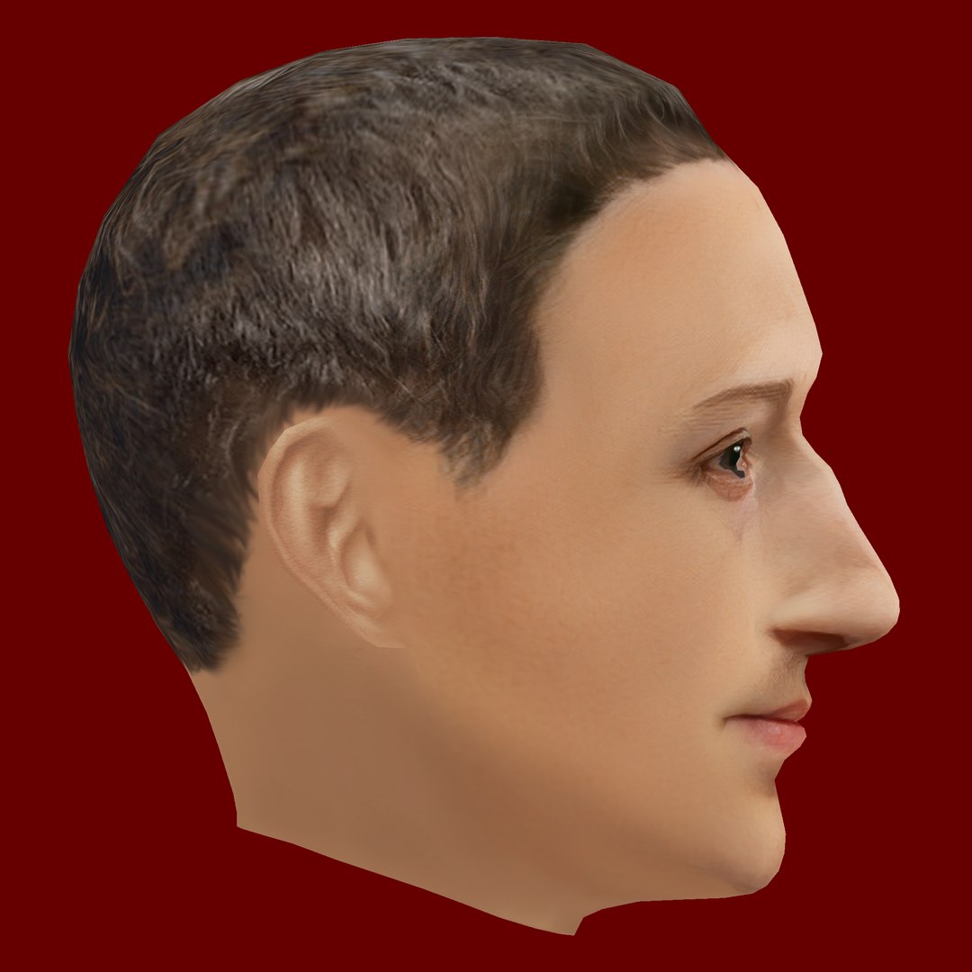 3D Mark Zuckerberg Low Poly Head https://p.turbosquid.com/ts-thumb/jQ/WgUiVC/xr/z06/png/1710410765/1920x1080/fit_q87/d1d811825002174bcd580d14f05a45329b0349b5/z06.jpg