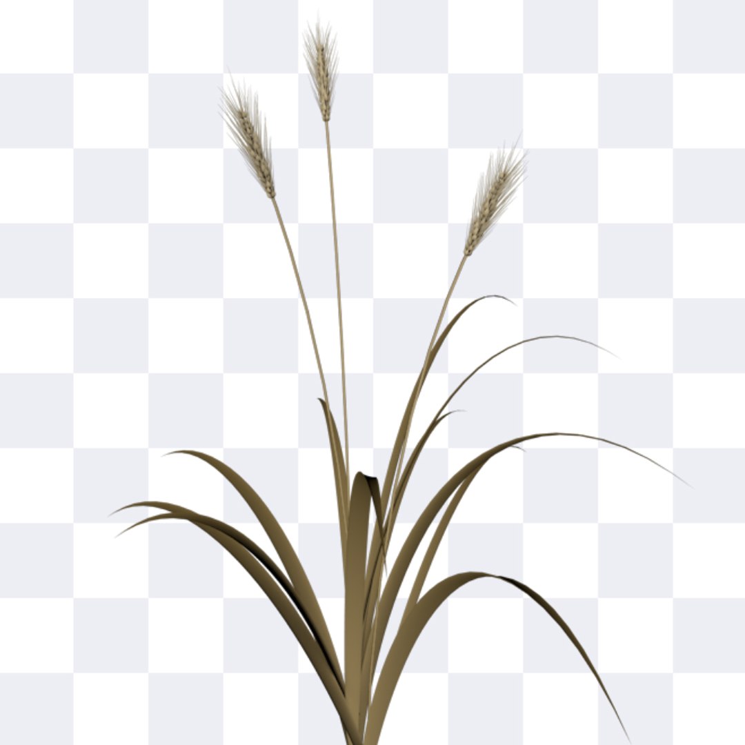 3d wheat https://p.turbosquid.com/ts-thumb/jQ/bJSnHt/H8Cx19xk/wheat_05/jpg/1405600422/1920x1080/fit_q87/e08bf817b26803749c23563b404868f7a056b391/wheat_05.jpg