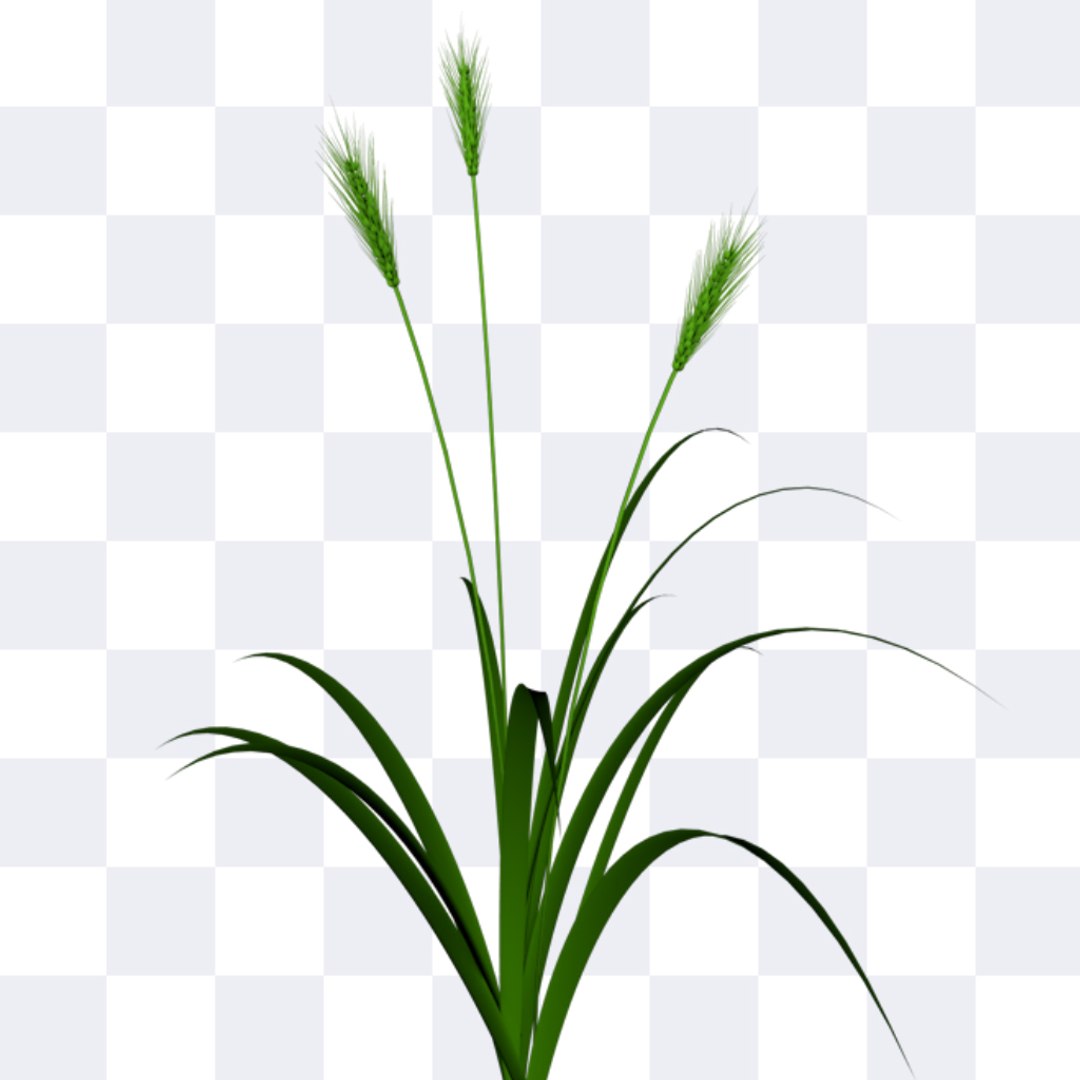 3d wheat https://p.turbosquid.com/ts-thumb/jQ/bJSnHt/t7p8J15n/wheat_06/jpg/1405600458/1920x1080/fit_q87/6f2d5526738f13574cee9c33ec8d3c79f1cdcdae/wheat_06.jpg