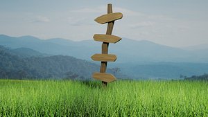 Signpost 3D