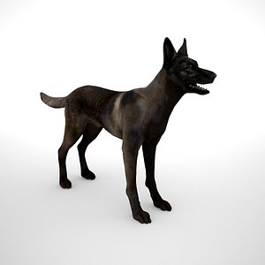 Belgian Malinois Dark Fawn - Low Poly
