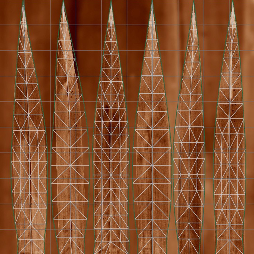 3D Arabic Palm 150 Frame Loop Animated https://p.turbosquid.com/ts-thumb/jR/1cUr50/PV/uv_02/jpg/1761055657/1920x1080/fit_q87/9abc363296c5efc2701172ada7d42830c475d7a3/uv_02.jpg