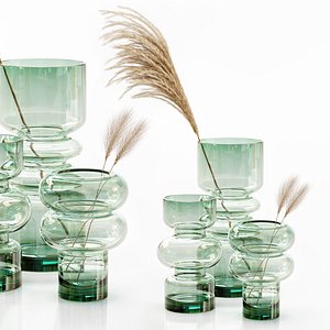 hm glass vase dried 3D