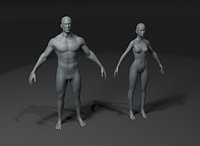 Male and Female Body Base Mesh 10k Polygons
