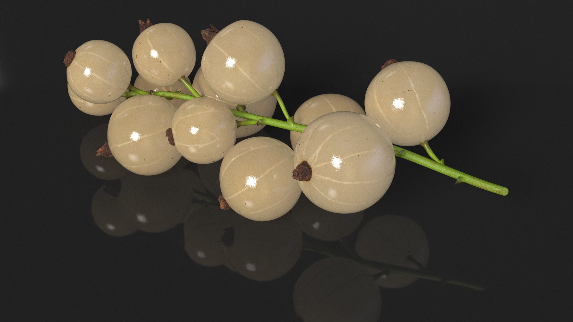 White Currant Berries Branch Model - TurboSquid 2295921