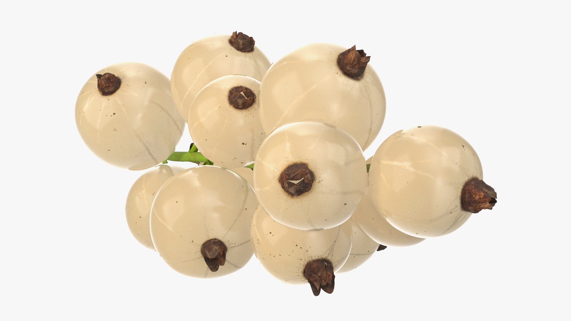 White Currant Berries Branch Model - TurboSquid 2295921