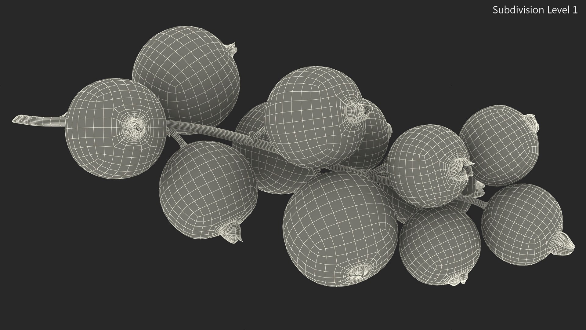 White Currant Berries Branch Model - TurboSquid 2295921
