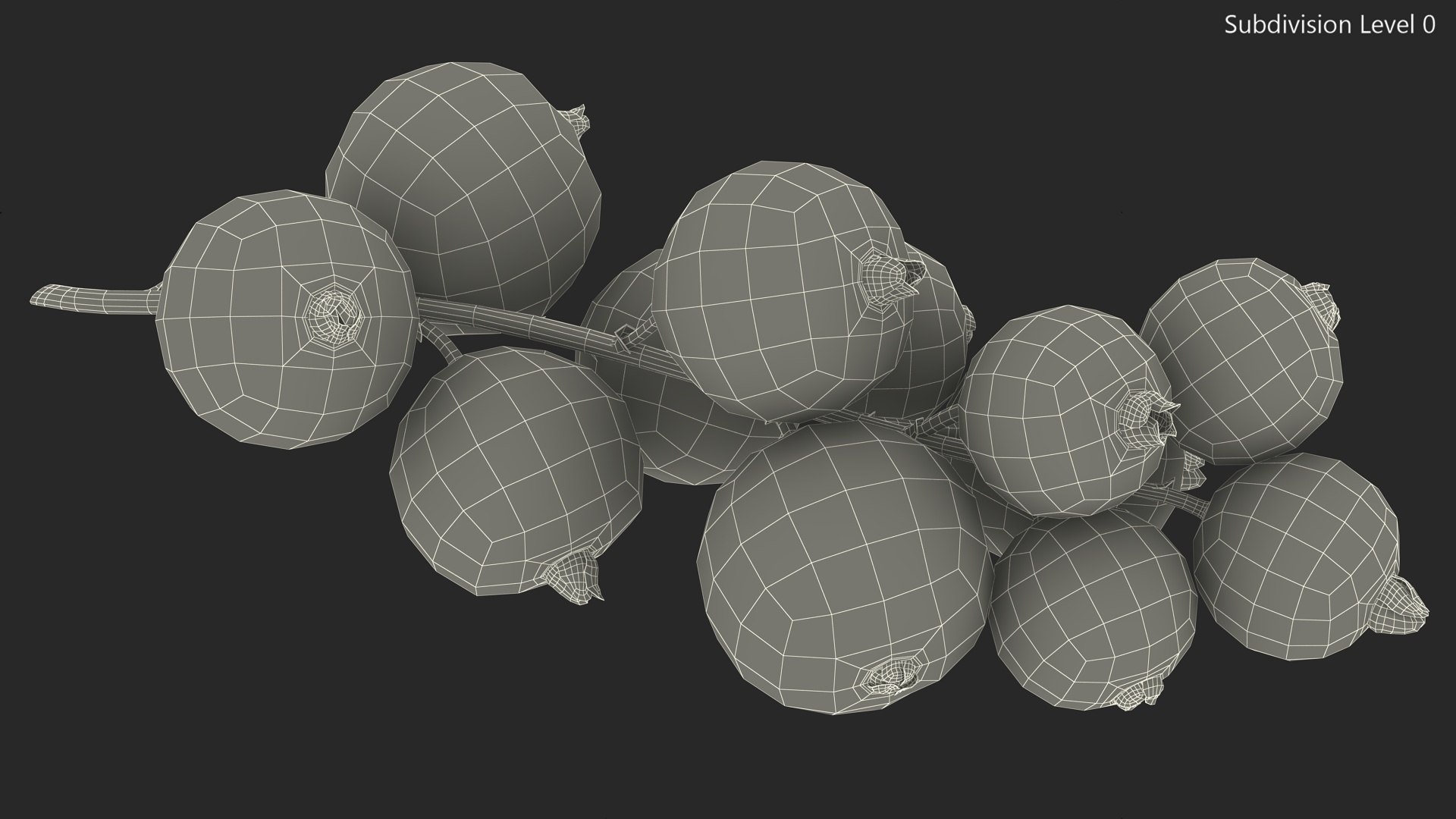 White Currant Berries Branch Model - TurboSquid 2295921