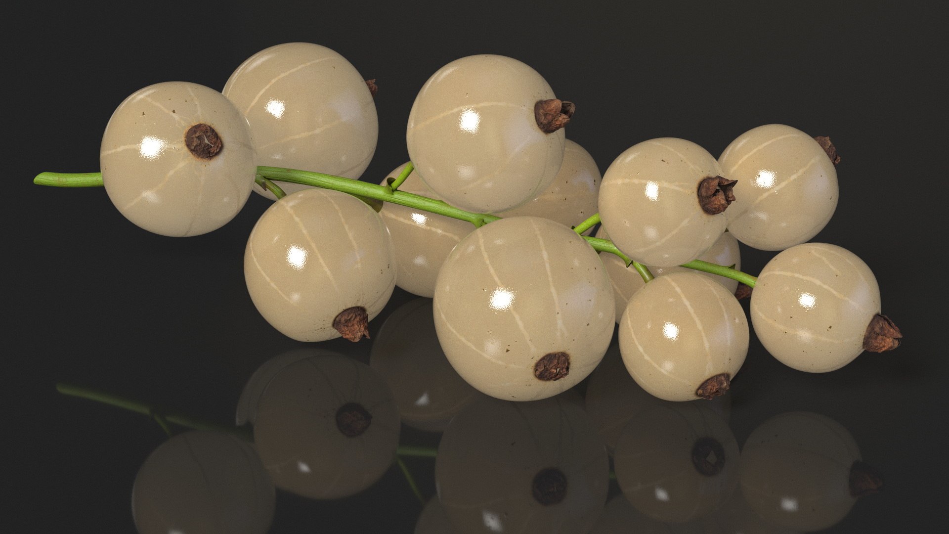 White Currant Berries Branch Model - TurboSquid 2295921