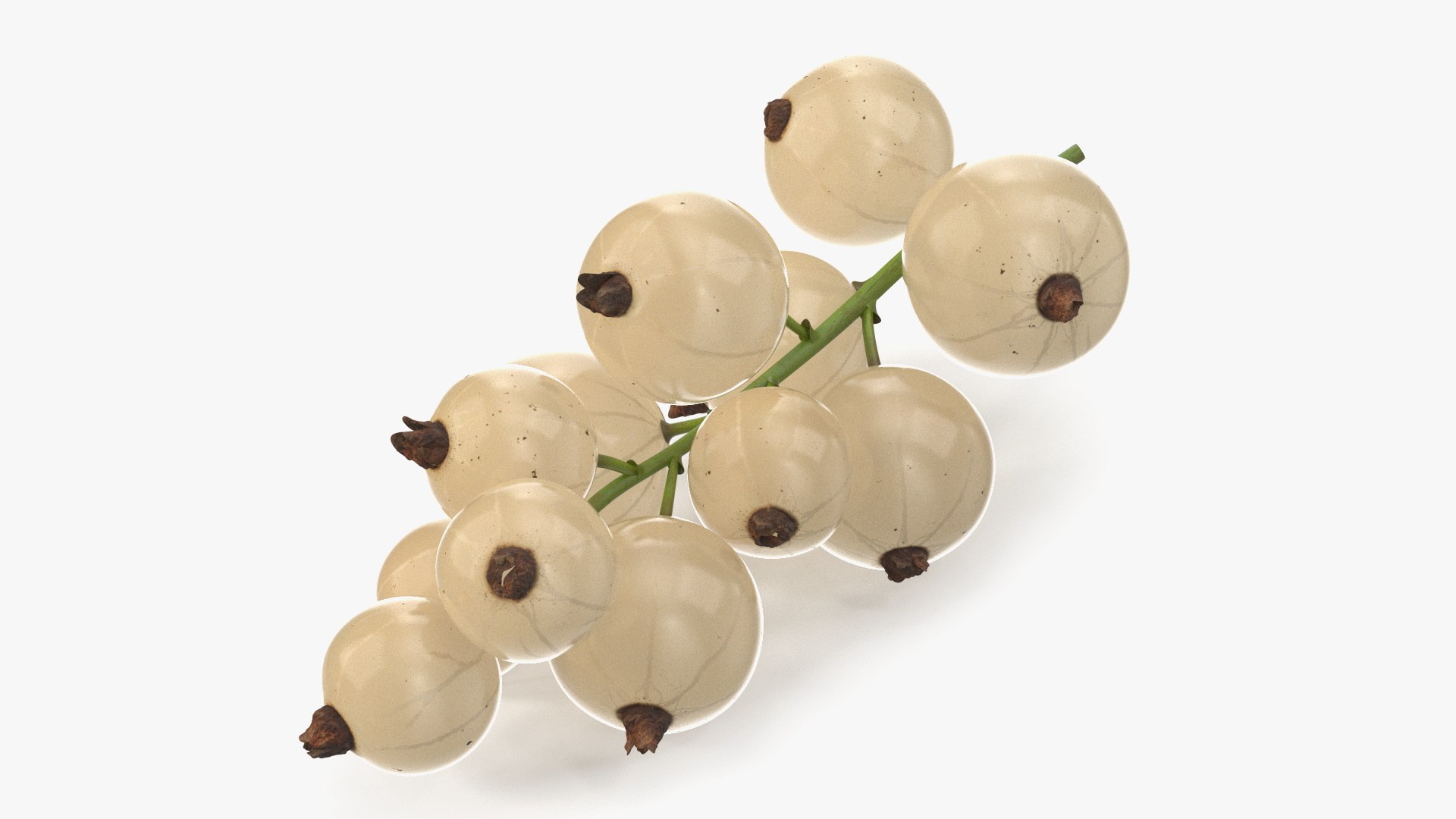 White Currant Berries Branch 3D model preview