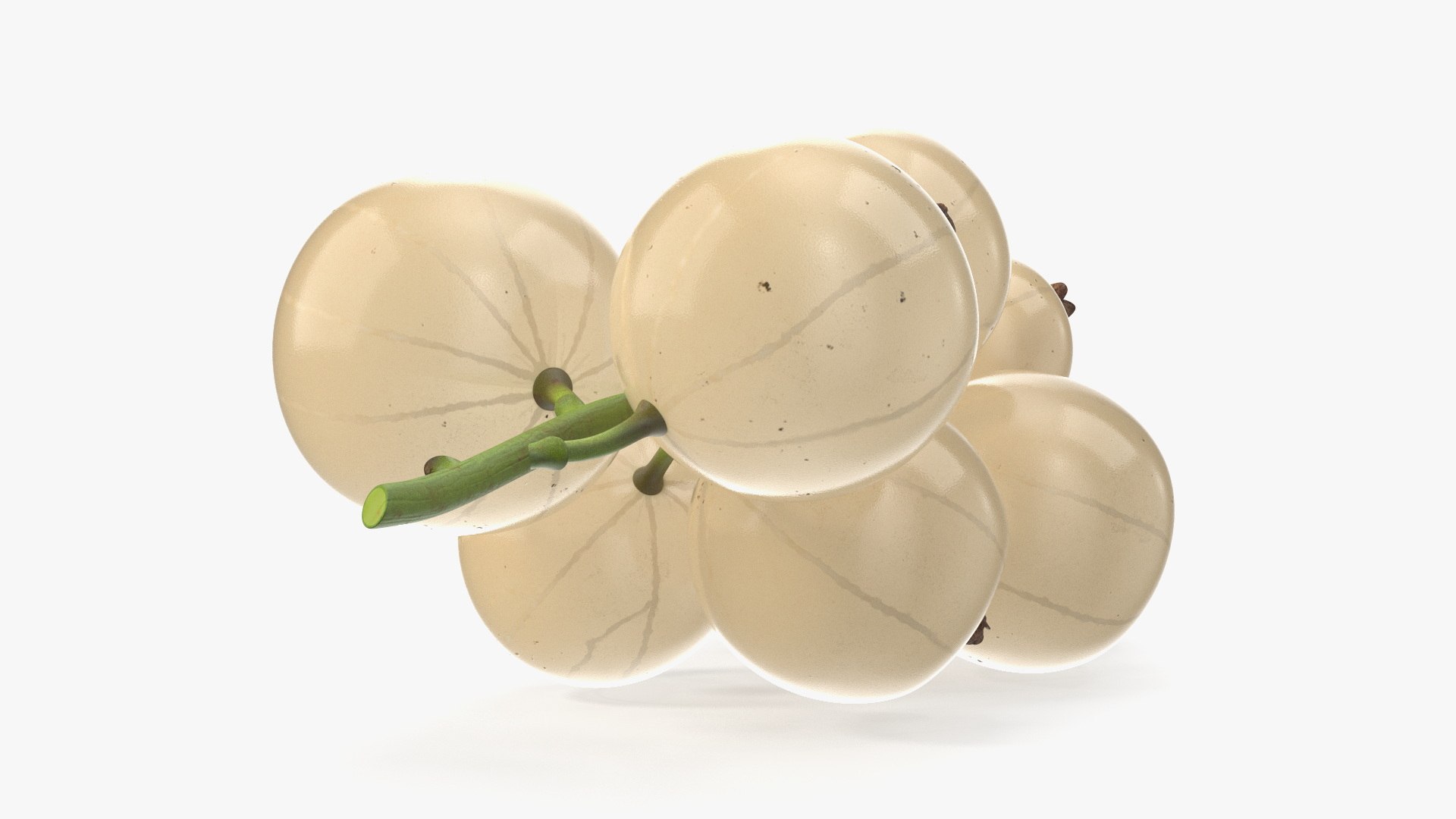 White Currant Berries Branch Model - TurboSquid 2295921