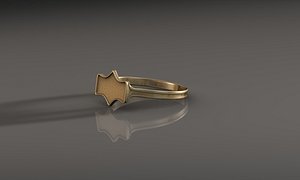 Signet Ring (2)