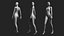 3D model female mesh - 14