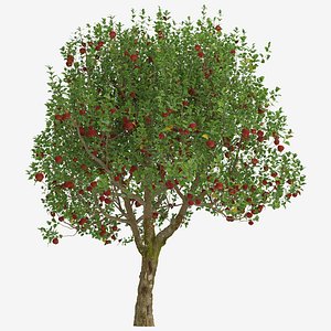 Set of Apple or Malus domestica Tree - 2 Trees 3D