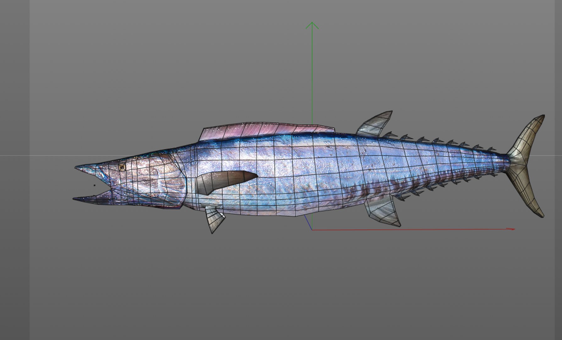 fish 3D model https://p.turbosquid.com/ts-thumb/jR/cuMTyq/X570poy5/12/png/1588405133/1920x1080/fit_q87/878aa3feb29c43c9cd0237be206eaafe1a009139/12.jpg