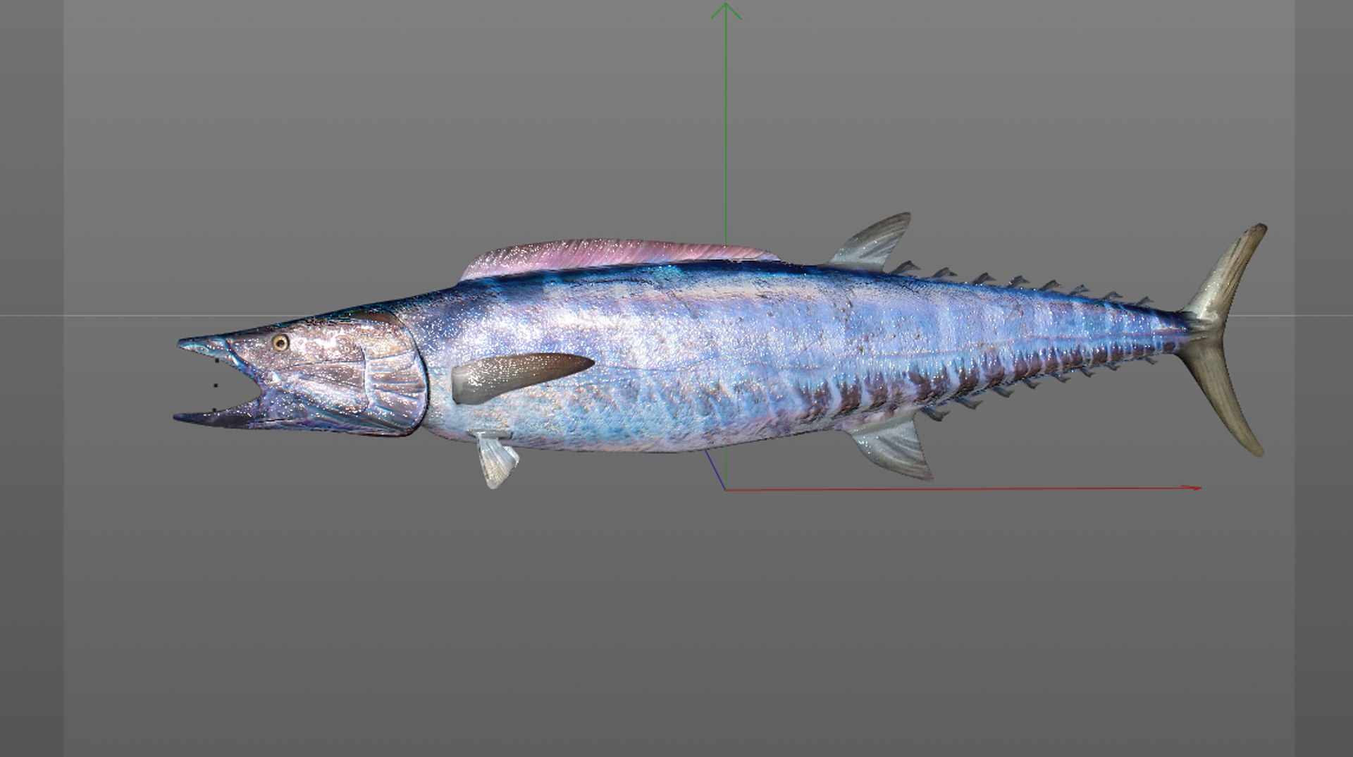 fish 3D model https://p.turbosquid.com/ts-thumb/jR/cuMTyq/tCAxN390/10/png/1588405132/1920x1080/fit_q87/1a992ef900e663c063137253c22d7c328d0d1a56/10.jpg
