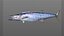 Wahoo Fish