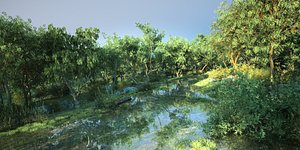 Forest Wetland Stream Natural Woodland Water