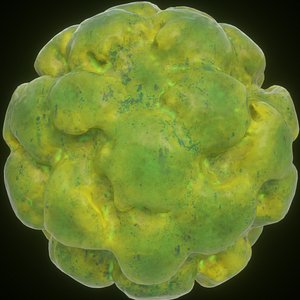3D model virus