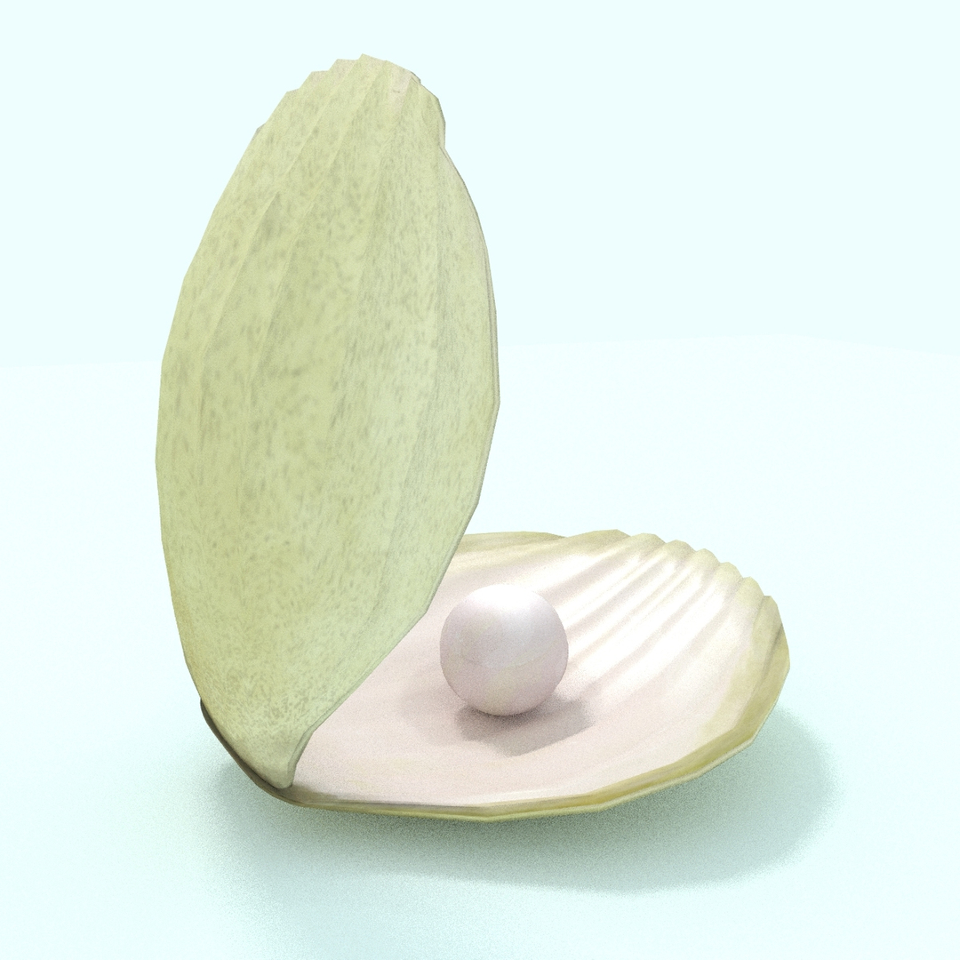 pearl shell 3d model