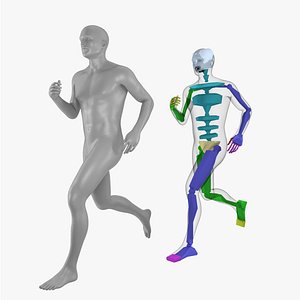 Male Base Mesh Rigged with Premium Facial Rig