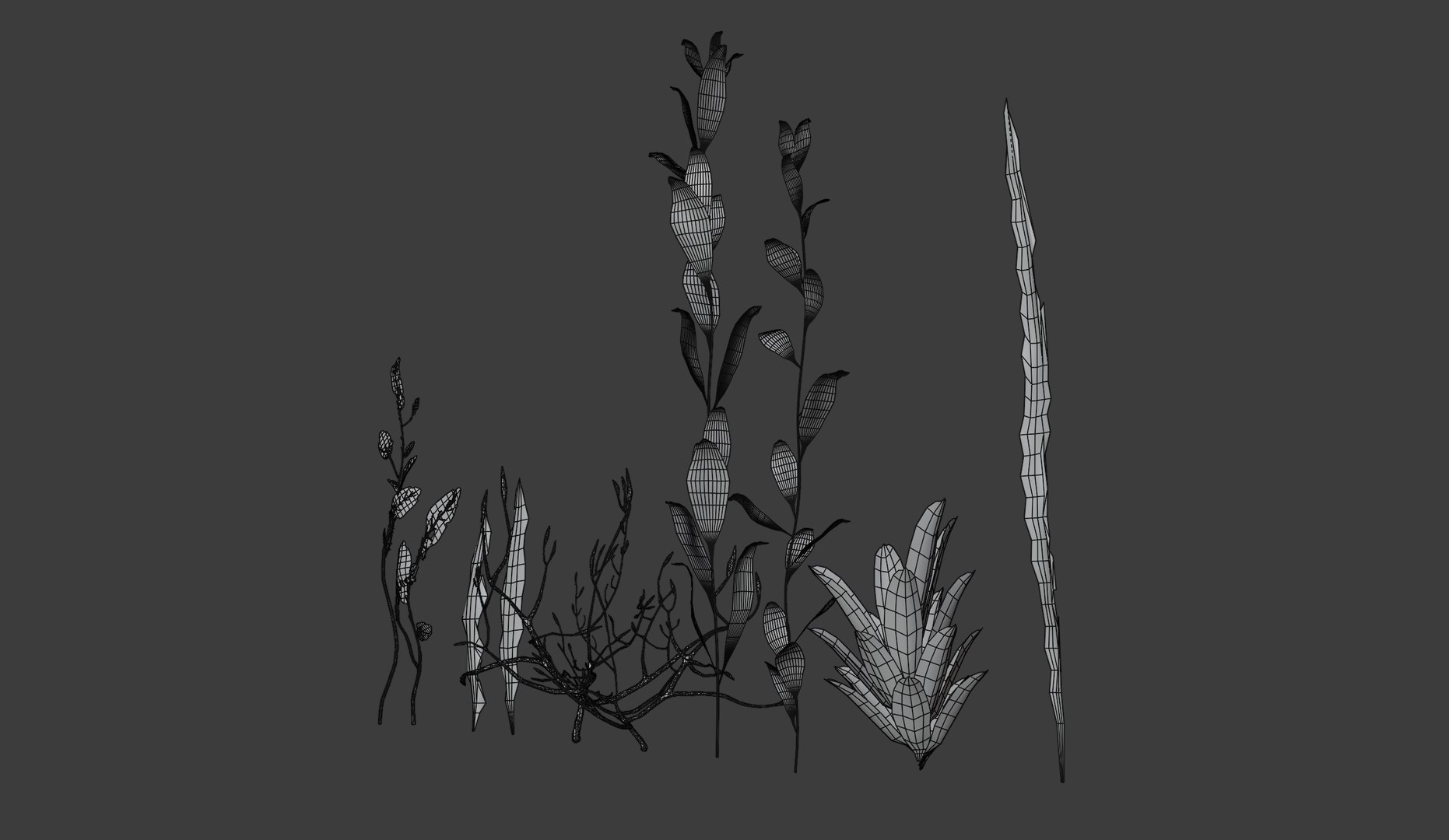 Seaweed Collection Low-poly 3D Model - TurboSquid 2000516