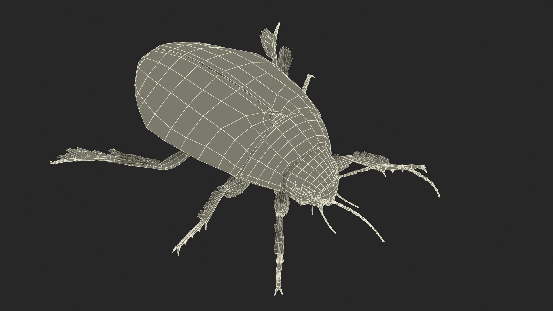 3D Insect Water Beetle Beige Realistic Rigged model https://p.turbosquid.com/ts-thumb/jS/gFnUyJ/3O/insectwaterbeetlebeigerealisticriggedmb3dmodel041/jpg/1720068542/1920x1080/fit_q87/1f60f36b40fe392392f6c490168e9f5913d5086e/insectwaterbeetlebeigerealisticriggedmb3dmodel041.jpg
