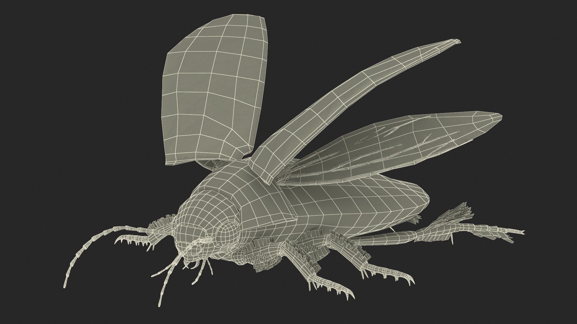 3D Insect Water Beetle Beige Realistic Rigged model https://p.turbosquid.com/ts-thumb/jS/gFnUyJ/Gn/insectwaterbeetlebeigerealisticriggedmb3dmodel038/jpg/1720068533/1920x1080/fit_q87/7e135b9311e4d4967eb68e98645f0fe031f1a350/insectwaterbeetlebeigerealisticriggedmb3dmodel038.jpg