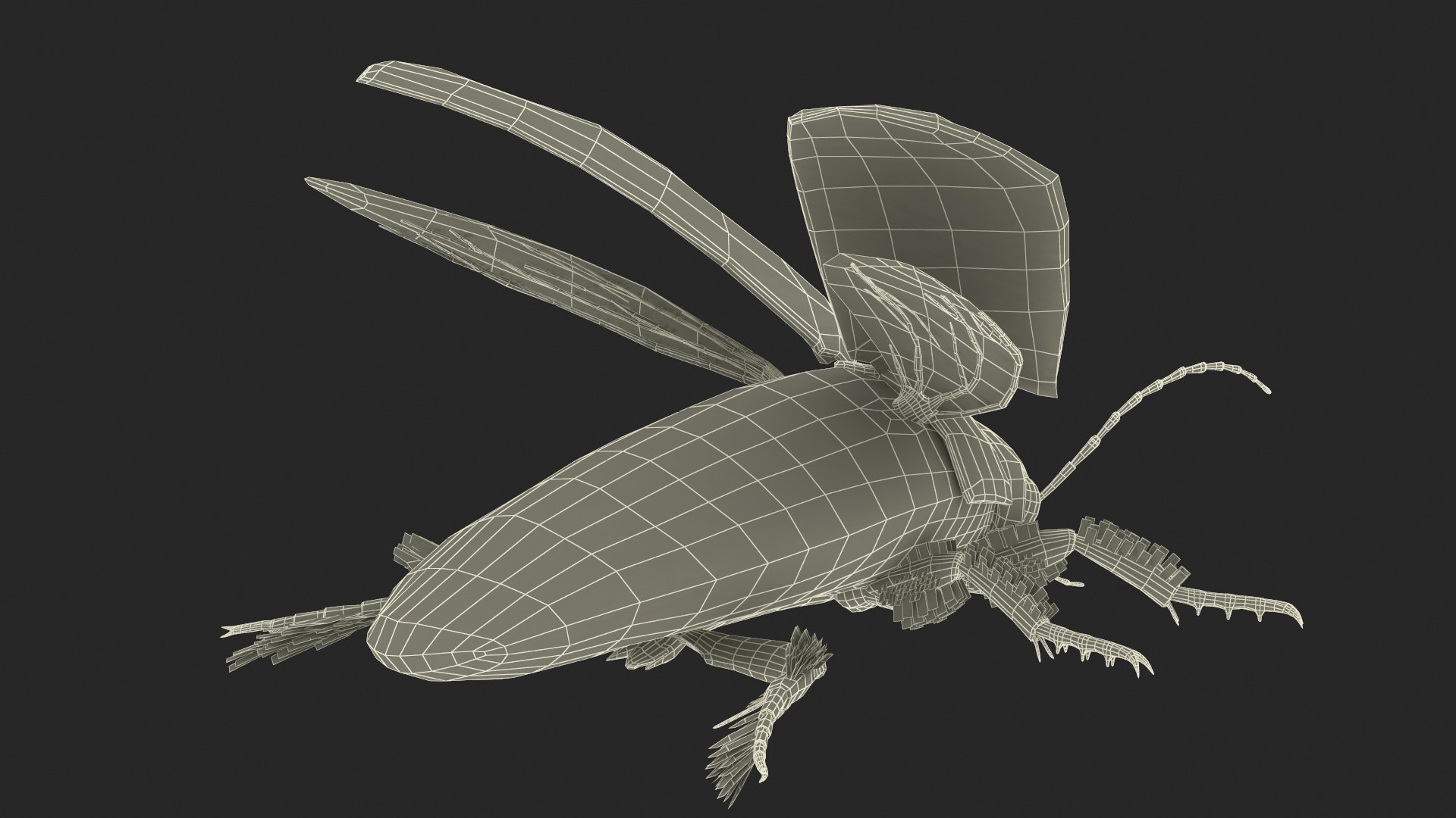 3D Insect Water Beetle Beige Realistic Rigged model https://p.turbosquid.com/ts-thumb/jS/gFnUyJ/Si/insectwaterbeetlebeigerealisticriggedmb3dmodel042/jpg/1720068546/1920x1080/fit_q87/580c73183f0ef81799f00f0906677fc0c971ab4a/insectwaterbeetlebeigerealisticriggedmb3dmodel042.jpg