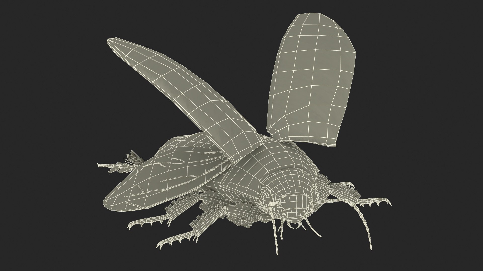3D Insect Water Beetle Beige Realistic Rigged model https://p.turbosquid.com/ts-thumb/jS/gFnUyJ/bh/insectwaterbeetlebeigerealisticriggedmb3dmodel037/jpg/1720068530/1920x1080/fit_q87/081372f721ed746f4f85f7df98e398e7f06c6689/insectwaterbeetlebeigerealisticriggedmb3dmodel037.jpg