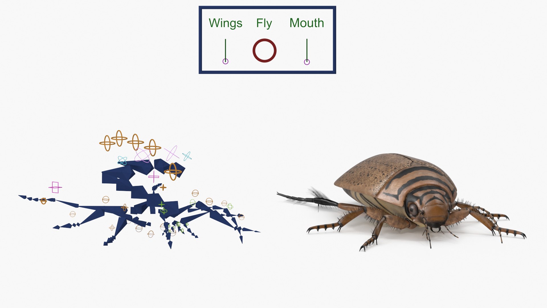 3D Insect Water Beetle Beige Realistic Rigged model https://p.turbosquid.com/ts-thumb/jS/gFnUyJ/eU/insectwaterbeetlebeigerealisticriggedmb3dmodel004/jpg/1720068443/1920x1080/fit_q87/7442675348c5a0750c8c7011d0774fbc1313f7bc/insectwaterbeetlebeigerealisticriggedmb3dmodel004.jpg