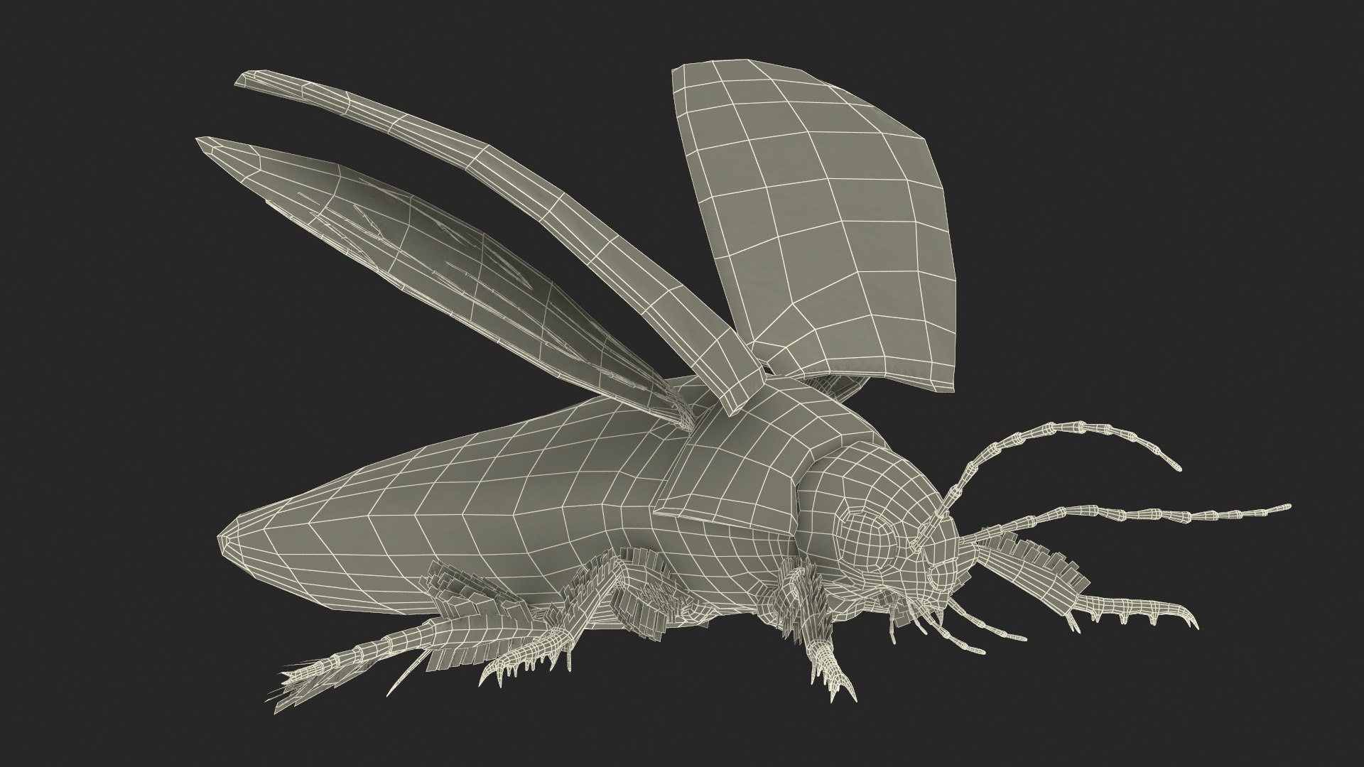 3D Insect Water Beetle Beige Realistic Rigged model https://p.turbosquid.com/ts-thumb/jS/gFnUyJ/jY/insectwaterbeetlebeigerealisticriggedmb3dmodel045/jpg/1720068554/1920x1080/fit_q87/c871e0b58225014e8a31bb91136b23dcada0303a/insectwaterbeetlebeigerealisticriggedmb3dmodel045.jpg