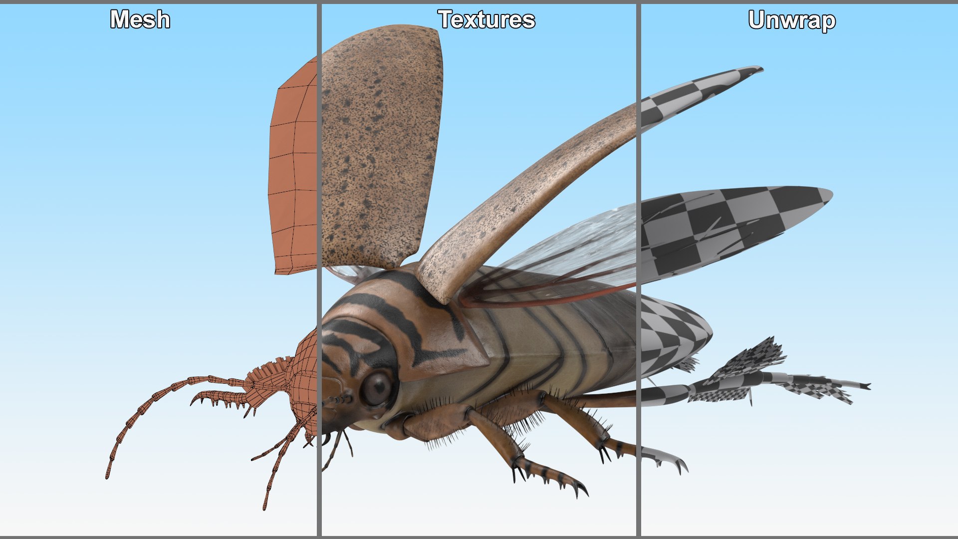 3D Insect Water Beetle Beige Realistic Rigged model https://p.turbosquid.com/ts-thumb/jS/gFnUyJ/lc/insectwaterbeetlebeigerealisticriggedmb3dmodel030/jpg/1720068506/1920x1080/fit_q87/0c4f500362d07ca786ae25b5721a9c609f802cb2/insectwaterbeetlebeigerealisticriggedmb3dmodel030.jpg
