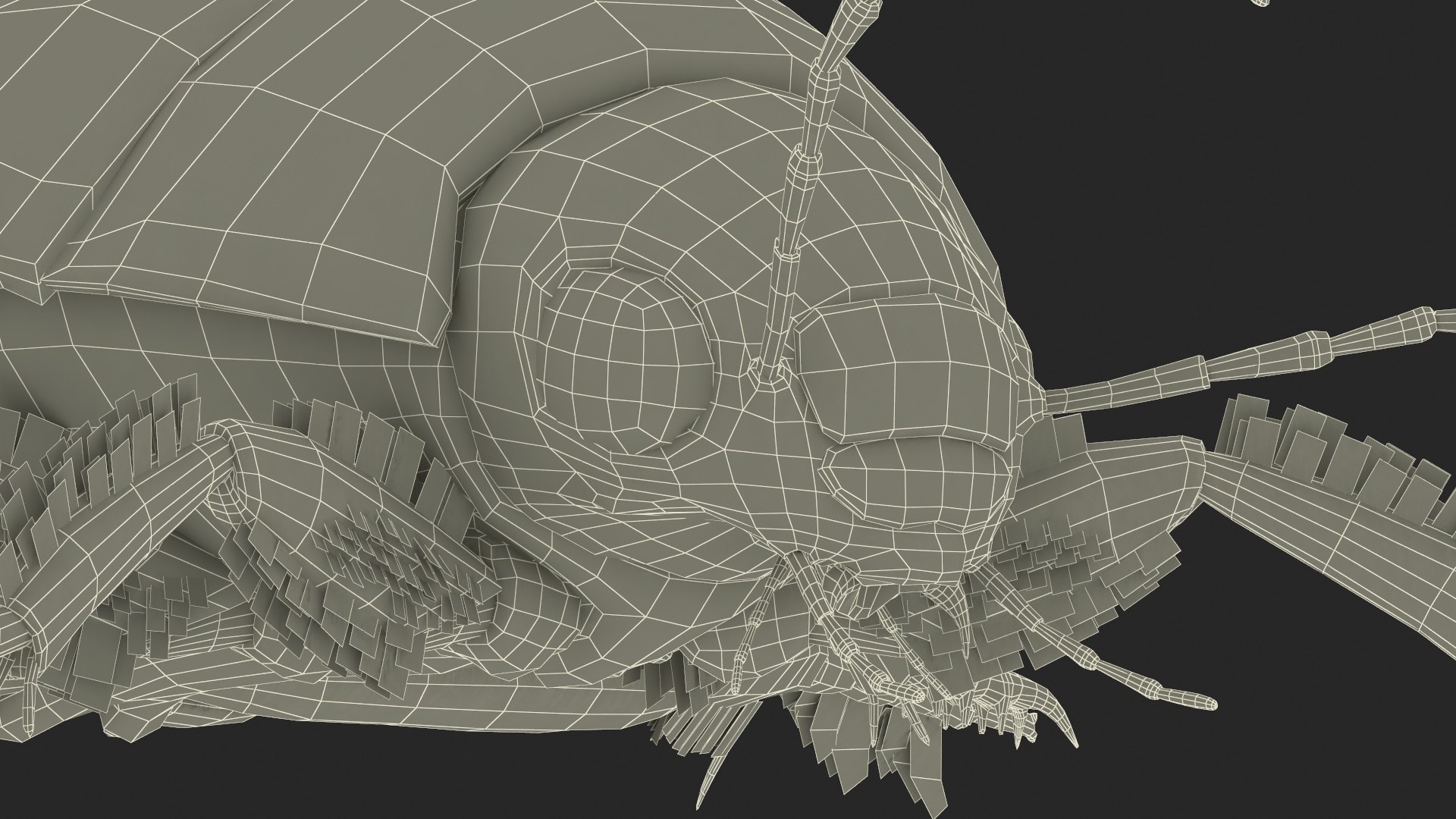 3D Insect Water Beetle Beige Realistic Rigged model https://p.turbosquid.com/ts-thumb/jS/gFnUyJ/nJ/insectwaterbeetlebeigerealisticriggedmb3dmodel040/jpg/1720068539/1920x1080/fit_q87/337cf0a6a27066c893fd17dea6d8c110092f8440/insectwaterbeetlebeigerealisticriggedmb3dmodel040.jpg