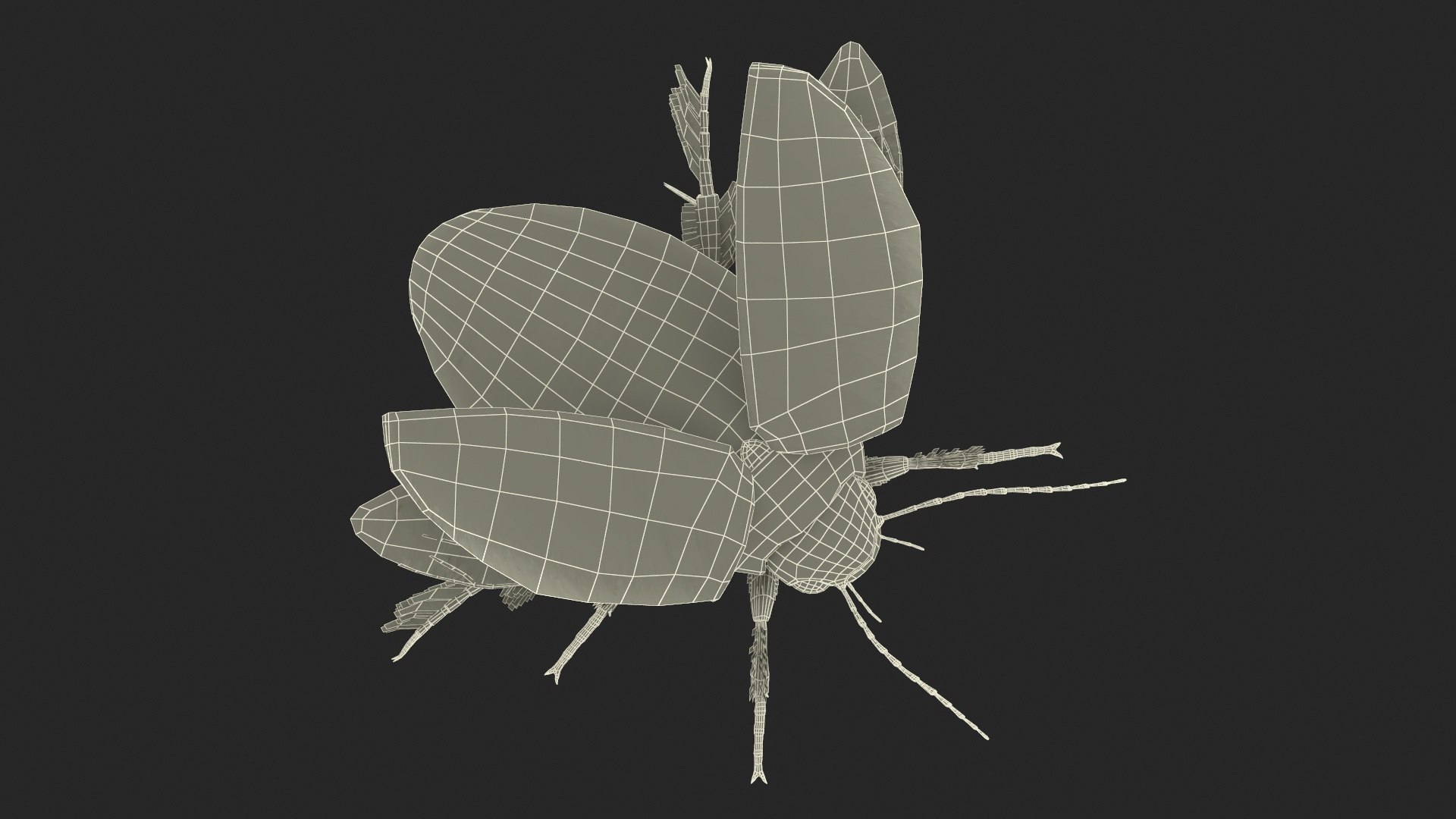 3D Insect Water Beetle Beige Realistic Rigged model https://p.turbosquid.com/ts-thumb/jS/gFnUyJ/ov/insectwaterbeetlebeigerealisticriggedmb3dmodel044/jpg/1720068551/1920x1080/fit_q87/1e1b931650b1f429c3d96436e8e4825528cbcea4/insectwaterbeetlebeigerealisticriggedmb3dmodel044.jpg