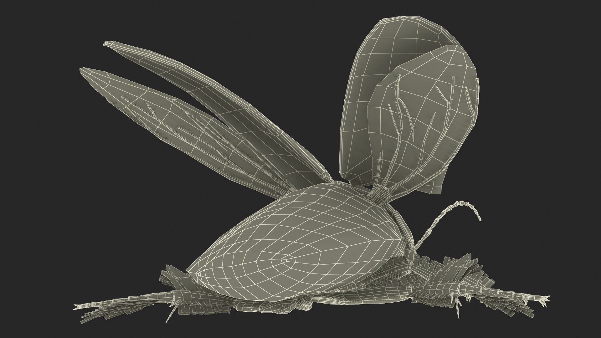 3D Insect Water Beetle Beige Realistic Rigged model https://p.turbosquid.com/ts-thumb/jS/gFnUyJ/uI/insectwaterbeetlebeigerealisticriggedmb3dmodel046/jpg/1720068557/1920x1080/fit_q87/55585552fcb21add5190e42ec6caaccf79588dfd/insectwaterbeetlebeigerealisticriggedmb3dmodel046.jpg