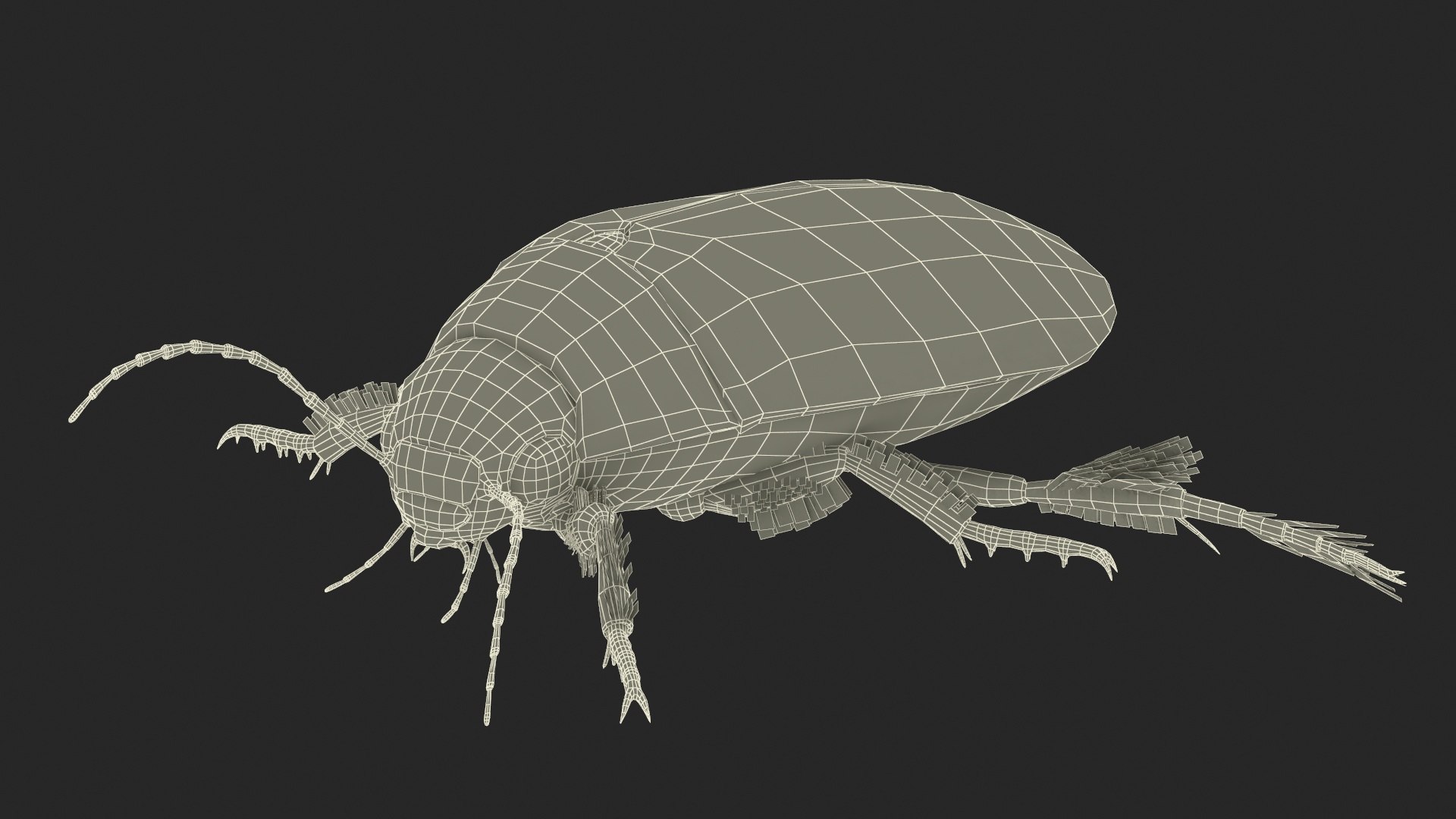 3D Insect Water Beetle Beige Realistic Rigged model https://p.turbosquid.com/ts-thumb/jS/gFnUyJ/xl/insectwaterbeetlebeigerealisticriggedmb3dmodel039/jpg/1720068536/1920x1080/fit_q87/676762b9555471d421d405ca2d466a06868b1c75/insectwaterbeetlebeigerealisticriggedmb3dmodel039.jpg