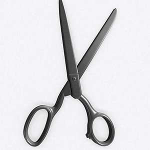 Metal Scissors