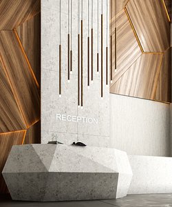 reception o 3D