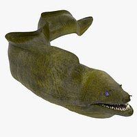 Murena Rigged